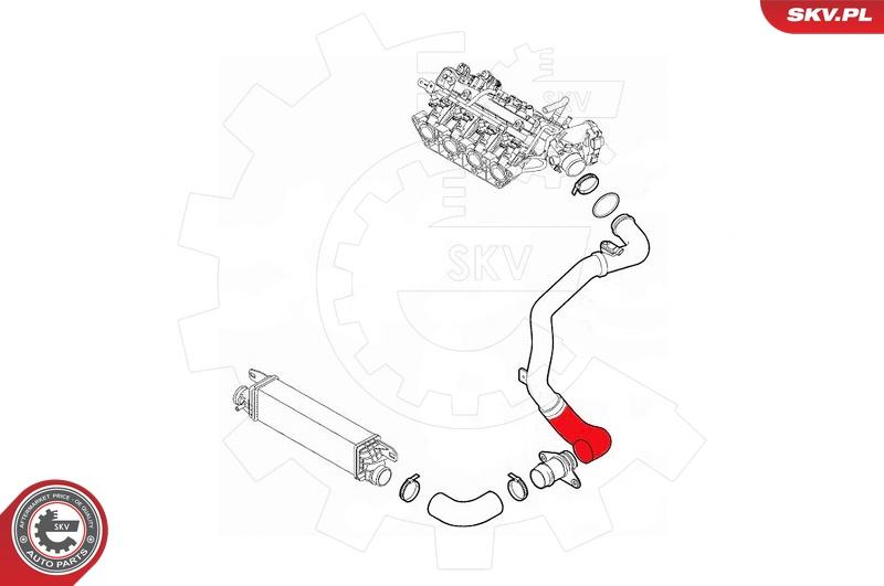 Esen SKV 43SKV366 - Charger Intake Air Hose onlydrive.pro