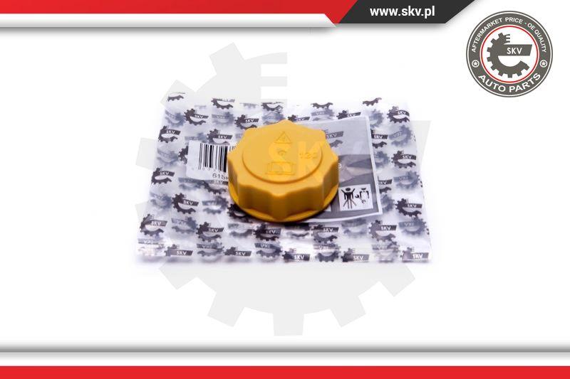 Esen SKV 61SKV007 - Sealing Cap, coolant tank onlydrive.pro