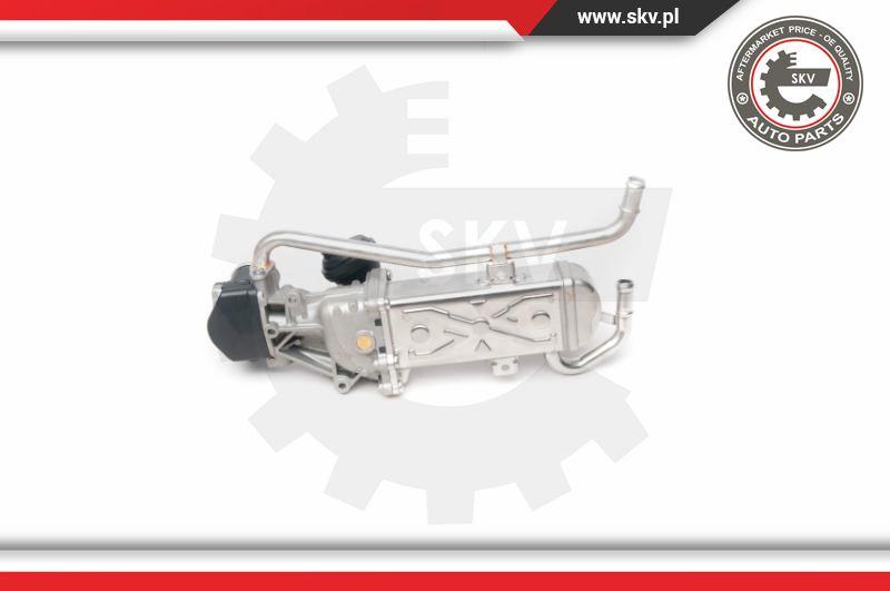 Esen SKV 14SKV095 - EGR Valve onlydrive.pro