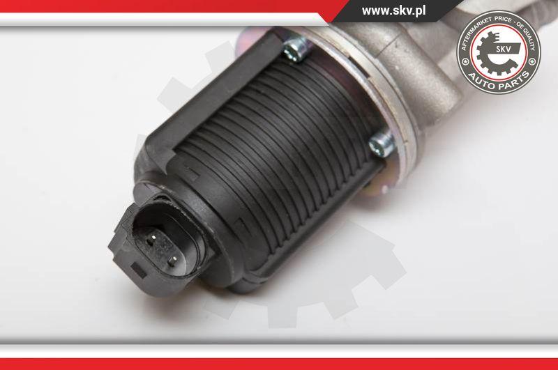 Esen SKV 14SKV055 - EGR Valve onlydrive.pro