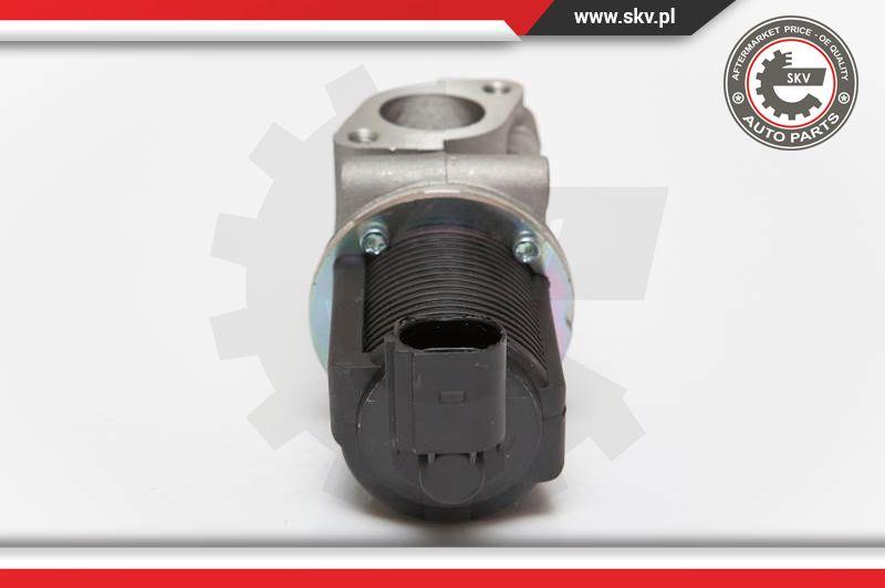 Esen SKV 14SKV055 - EGR Valve onlydrive.pro