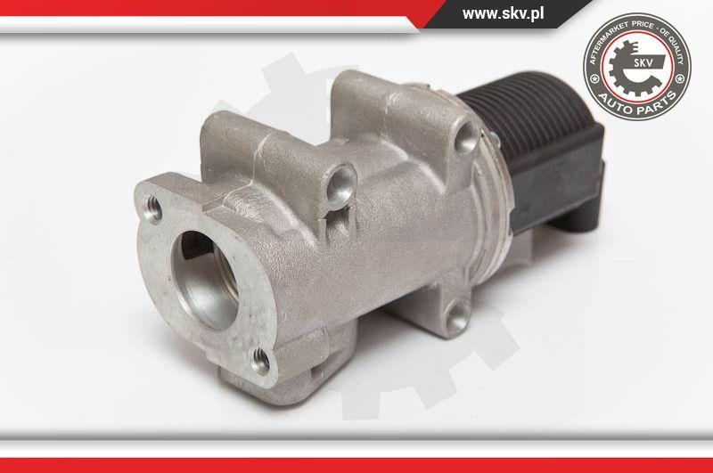 Esen SKV 14SKV055 - EGR Valve onlydrive.pro