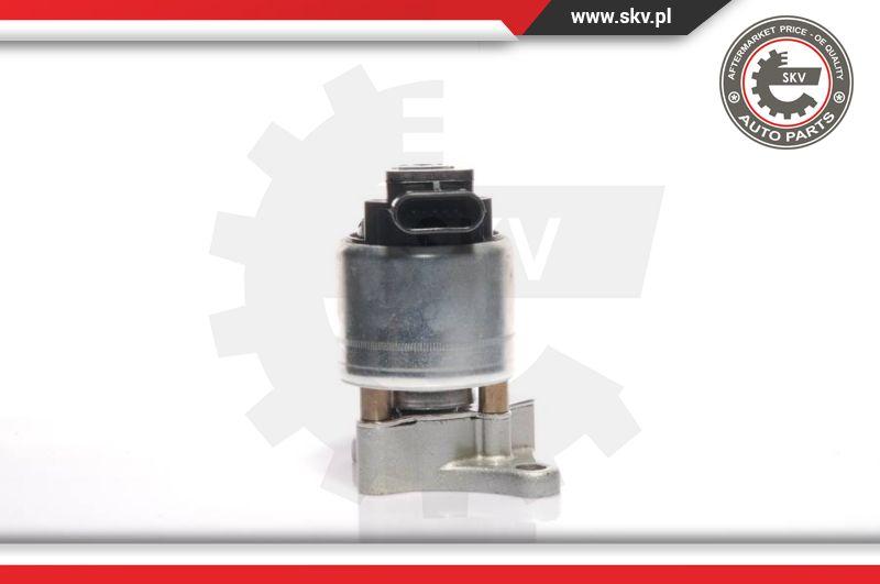 Esen SKV 14SKV017 - EGR Valve onlydrive.pro