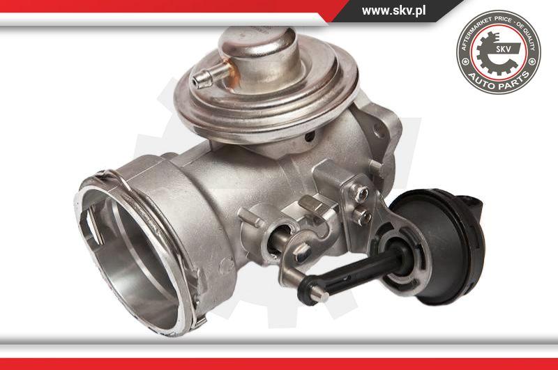 Esen SKV 14SKV025 - EGR Valve onlydrive.pro