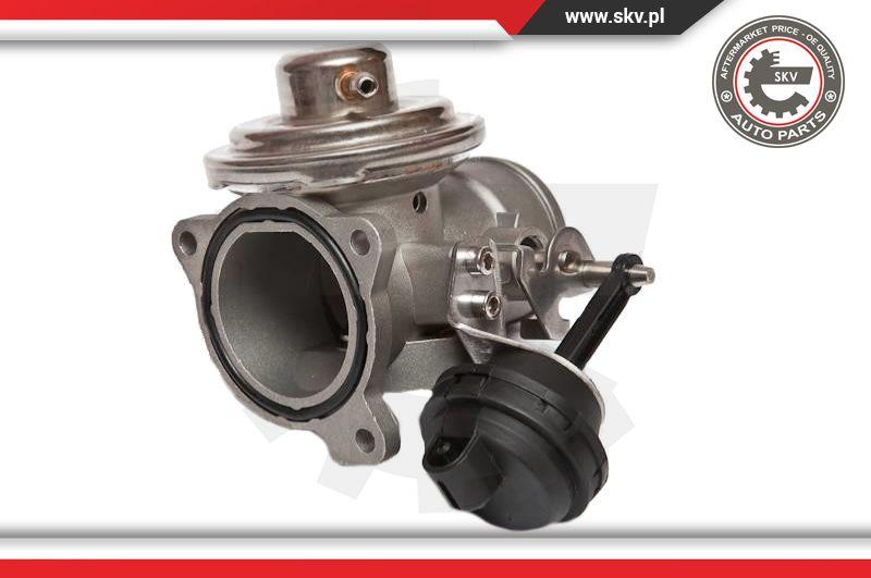 Esen SKV 14SKV020 - EGR Valve onlydrive.pro