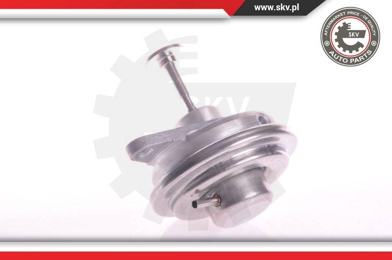 Esen SKV 14SKV022 - EGR Valve onlydrive.pro