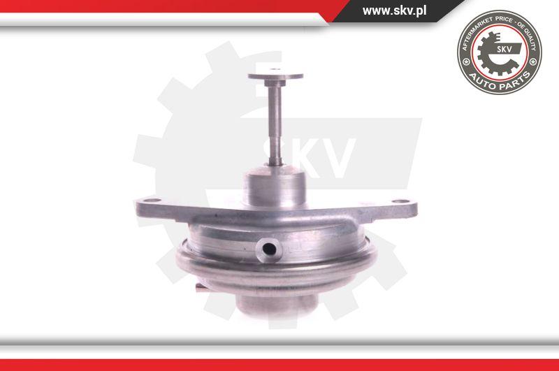 Esen SKV 14SKV022 - EGR Valve onlydrive.pro