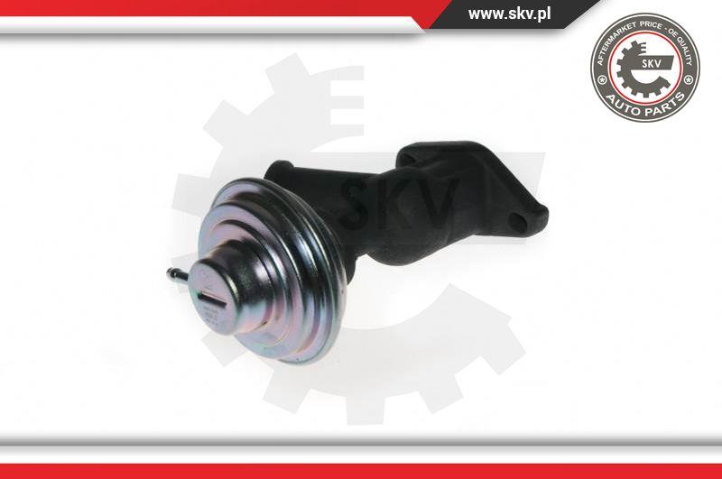 Esen SKV 14SKV077 - EGR Valve onlydrive.pro