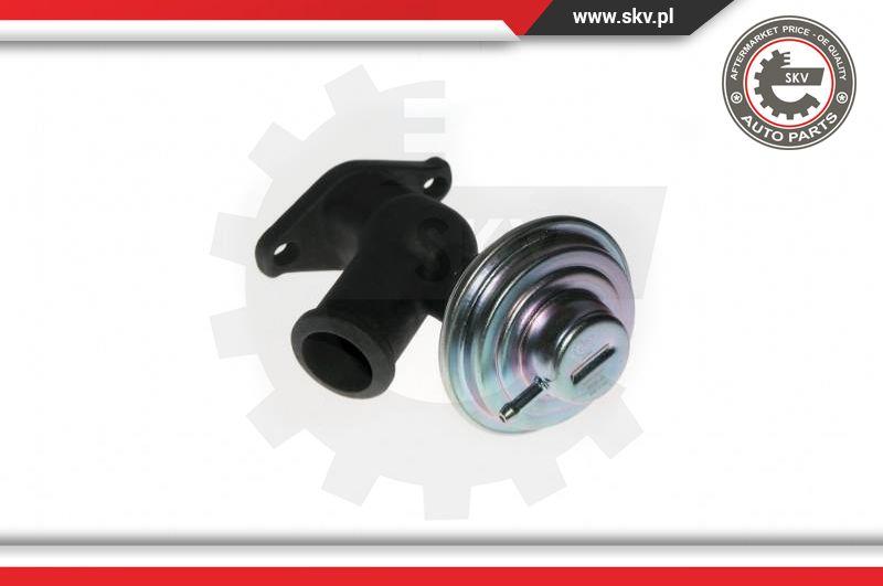 Esen SKV 14SKV077 - EGR Valve onlydrive.pro