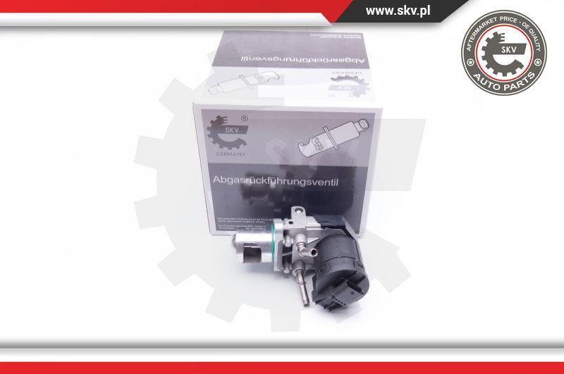 Esen SKV 14SKV169 - EGR Valve onlydrive.pro