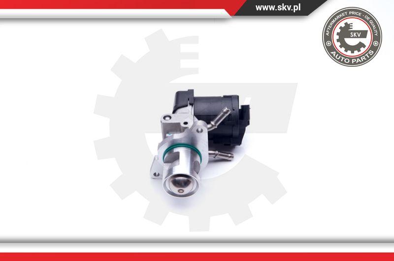 Esen SKV 14SKV169 - EGR Valve onlydrive.pro