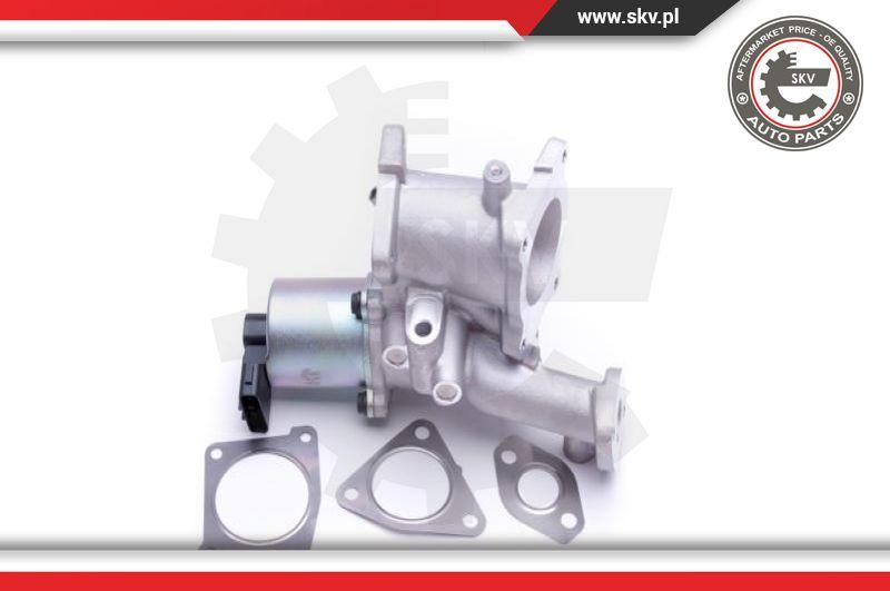 Esen SKV 14SKV166 - EGR Valve onlydrive.pro