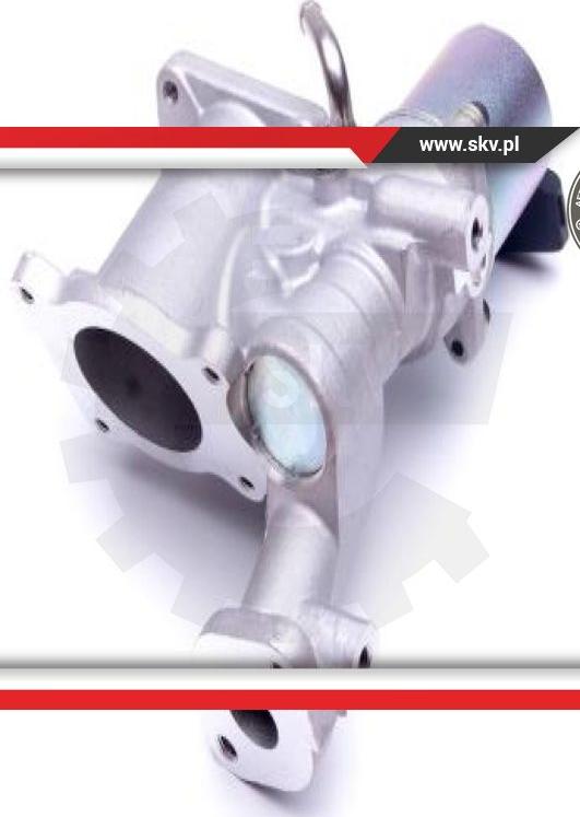 Esen SKV 14SKV166 - EGR Valve onlydrive.pro