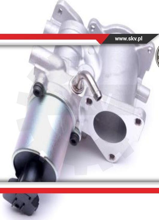 Esen SKV 14SKV166 - EGR Valve onlydrive.pro