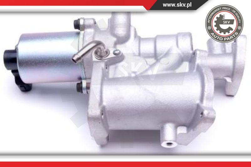 Esen SKV 14SKV166 - EGR Valve onlydrive.pro