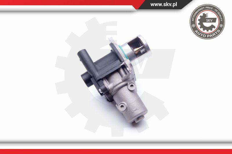 Esen SKV 14SKV163 - EGR Valve onlydrive.pro