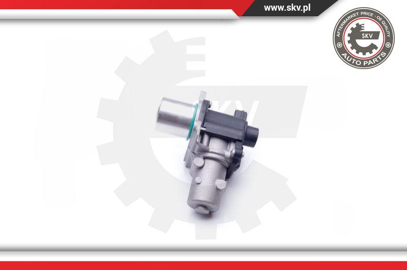 Esen SKV 14SKV163 - EGR Valve onlydrive.pro