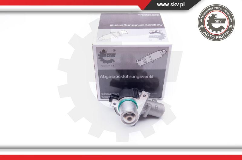 Esen SKV 14SKV163 - EGR Valve onlydrive.pro