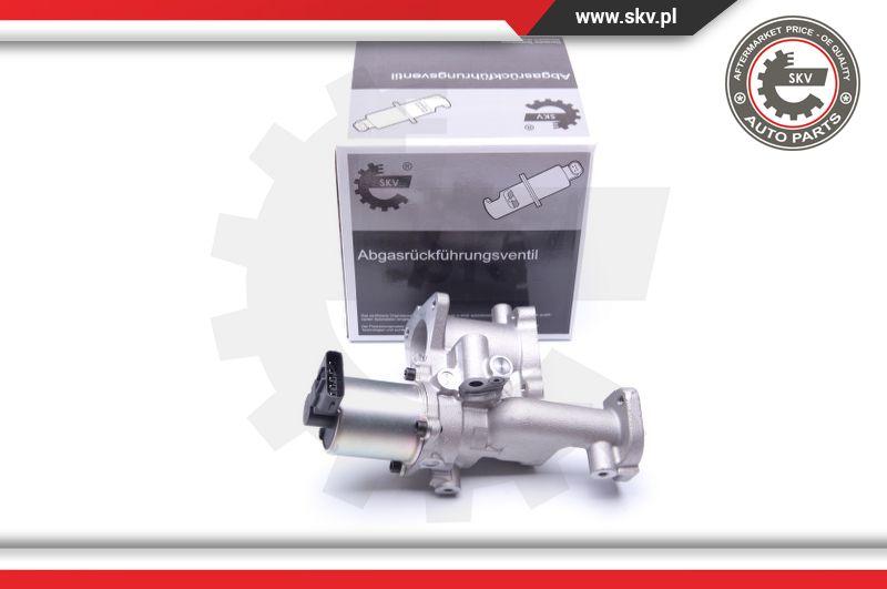 Esen SKV 14SKV167 - EGR Valve onlydrive.pro