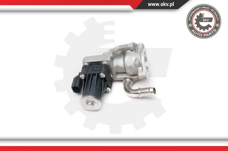 Esen SKV 14SKV101 - EGR Valve onlydrive.pro