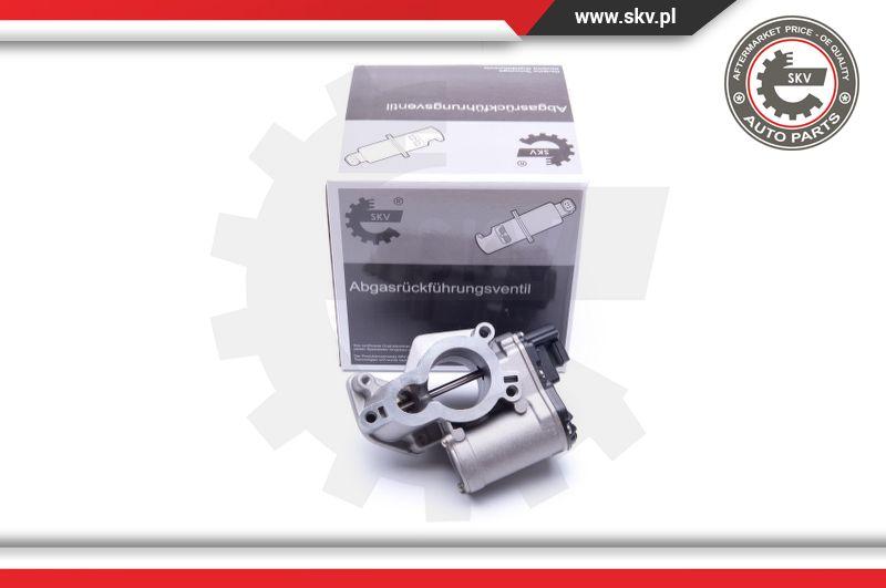 Esen SKV 14SKV184 - EGR Valve onlydrive.pro