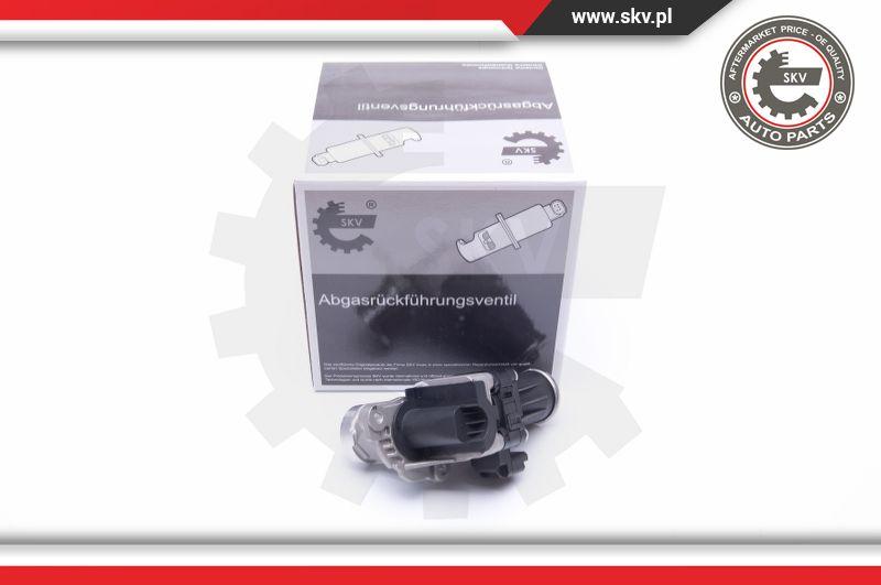 Esen SKV 14SKV185 - EGR Valve onlydrive.pro