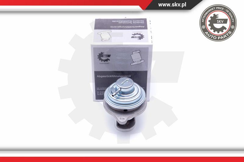 Esen SKV 14SKV182 - EGR Valve onlydrive.pro