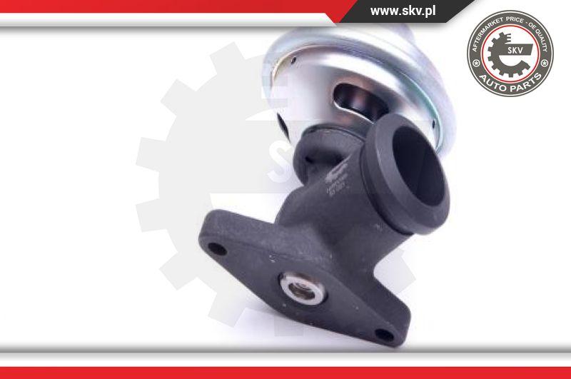 Esen SKV 14SKV205 - EGR Valve onlydrive.pro