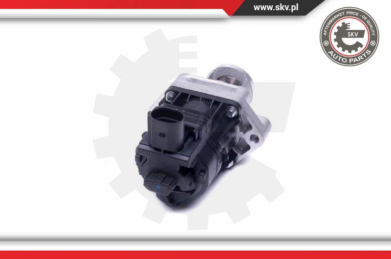 Esen SKV 14SKV217 - EGR Valve onlydrive.pro