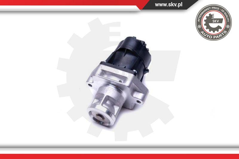 Esen SKV 14SKV217 - EGR Valve onlydrive.pro