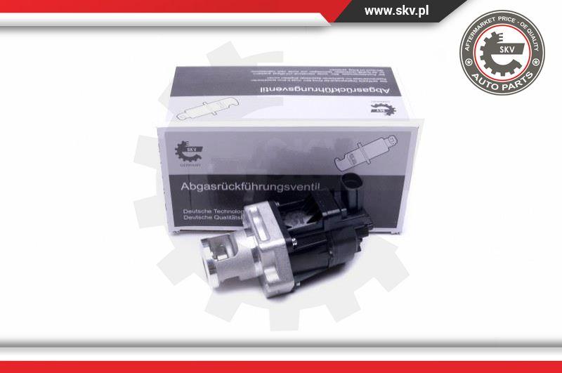 Esen SKV 14SKV217 - EGR Valve onlydrive.pro