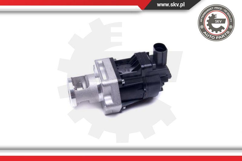 Esen SKV 14SKV217 - EGR Valve onlydrive.pro