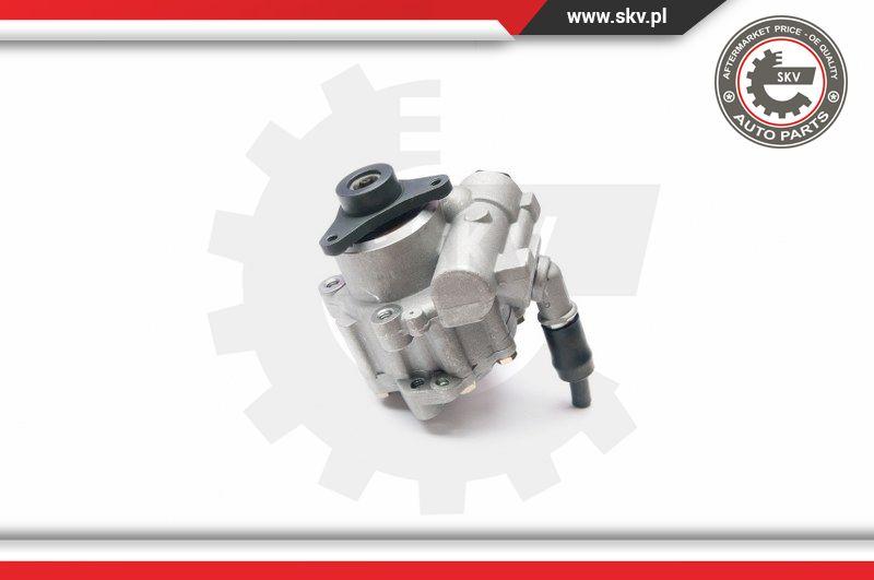 Esen SKV 10SKV199 - Hydraulic Pump, steering system onlydrive.pro