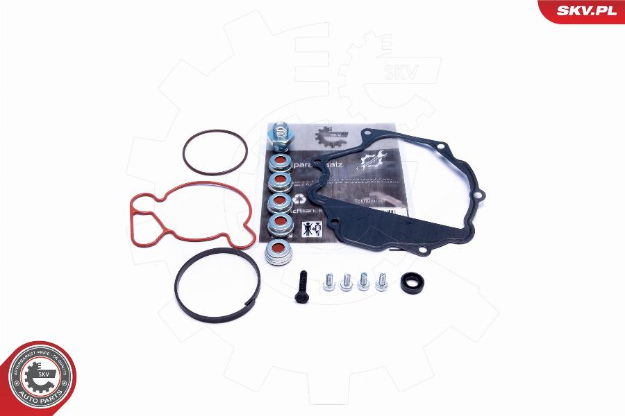 Esen SKV 18SKV809 - Repair Set, vacuum pump (braking system) onlydrive.pro