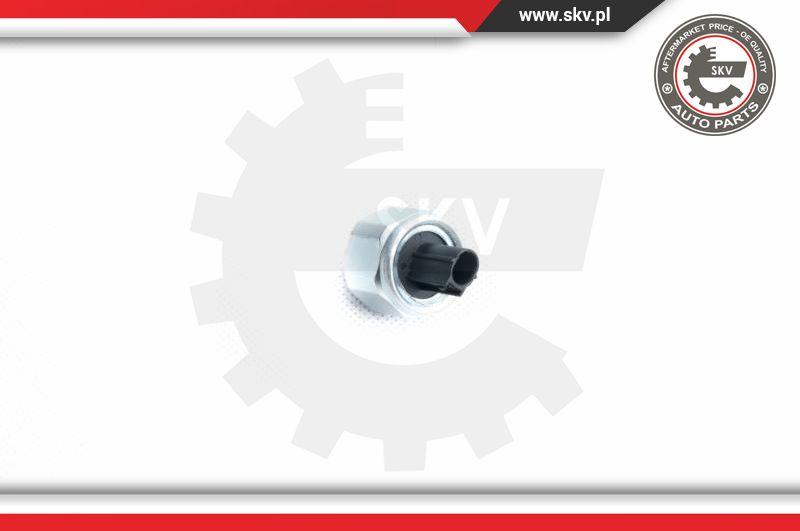 Esen SKV 17SKV360 - Knock Sensor onlydrive.pro