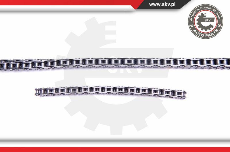 Esen SKV 21SKV198 - Timing Chain Kit onlydrive.pro