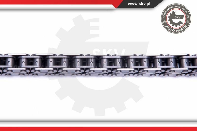 Esen SKV 21SKV193 - Timing Chain Kit onlydrive.pro