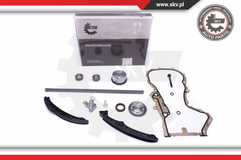 Esen SKV 21SKV159 - Timing Chain Kit onlydrive.pro