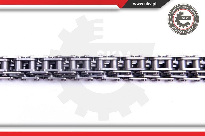 Esen SKV 21SKV157 - Timing Chain Kit onlydrive.pro