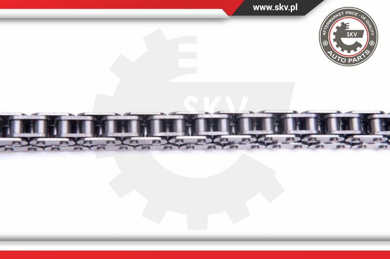 Esen SKV 21SKV169 - Timing Chain Kit onlydrive.pro