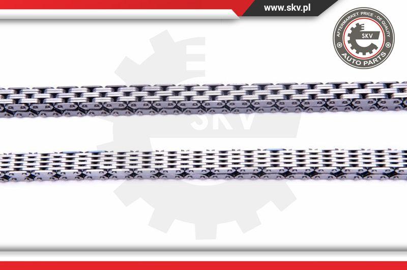 Esen SKV 21SKV161 - Timing Chain Kit onlydrive.pro