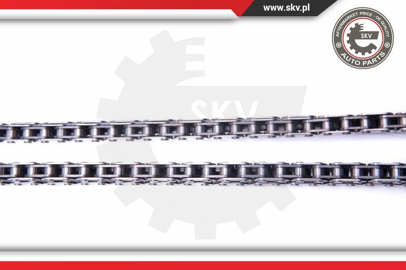 Esen SKV 21SKV114 - Timing Chain Kit onlydrive.pro