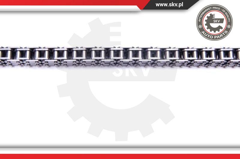 Esen SKV 21SKV111 - Timing Chain Kit onlydrive.pro