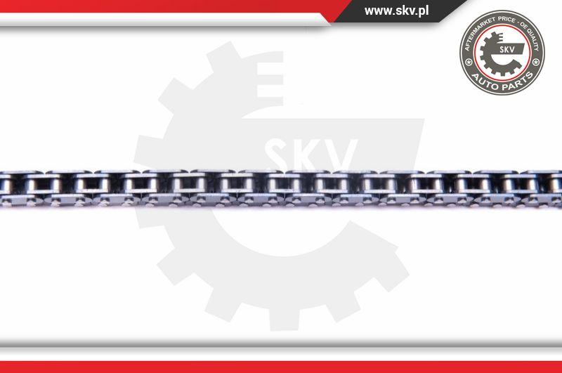 Esen SKV 21SKV186 - Timing Chain Kit onlydrive.pro