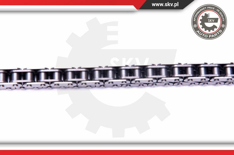 Esen SKV 21SKV131 - Timing Chain Kit onlydrive.pro