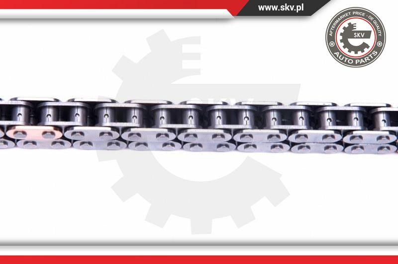 Esen SKV 21SKV246 - Timing Chain Kit onlydrive.pro