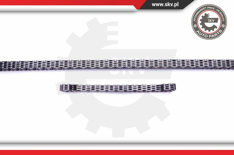 Esen SKV 21SKV243 - Timing Chain Kit onlydrive.pro