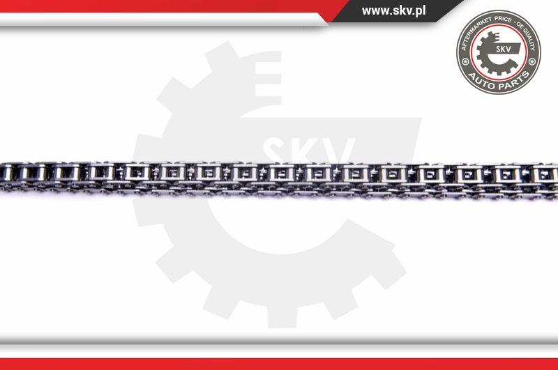 Esen SKV 21SKV201 - Timing Chain Kit onlydrive.pro