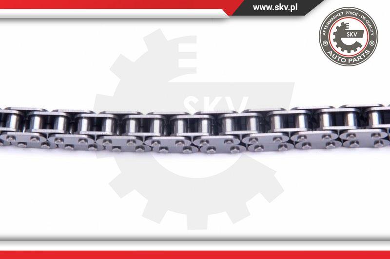 Esen SKV 21SKV239 - Timing Chain Kit onlydrive.pro