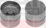 FAI AutoParts BFS293S - Tappet / Rocker onlydrive.pro